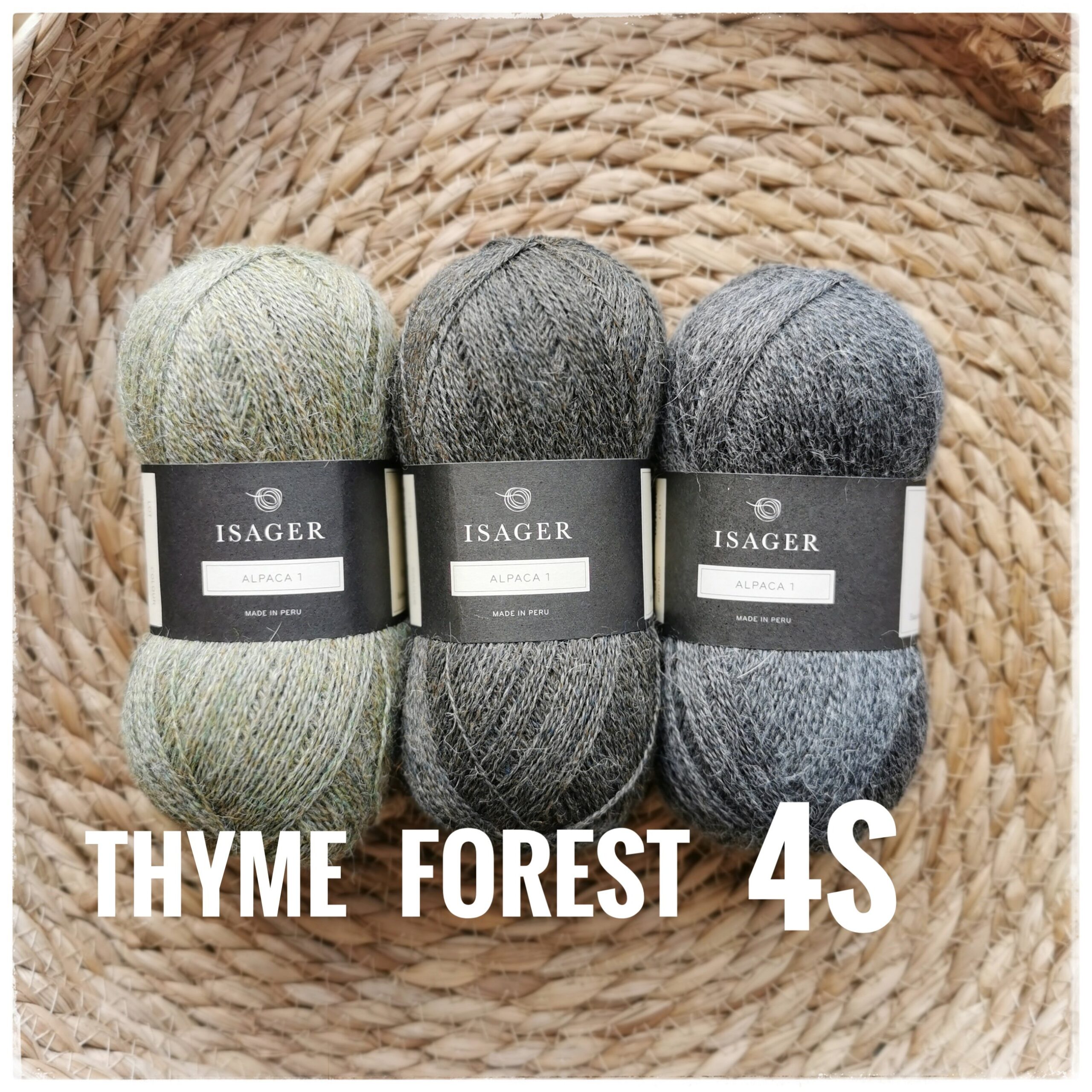 Alpaca 1, Forest - Image 2